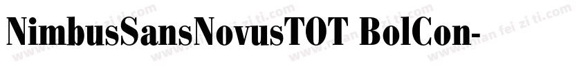 NimbusSansNovusTOT BolCon字体转换